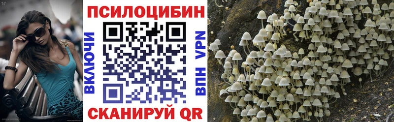 Галлюциногенные грибы Magic Shrooms  Купить где  Лаишево 